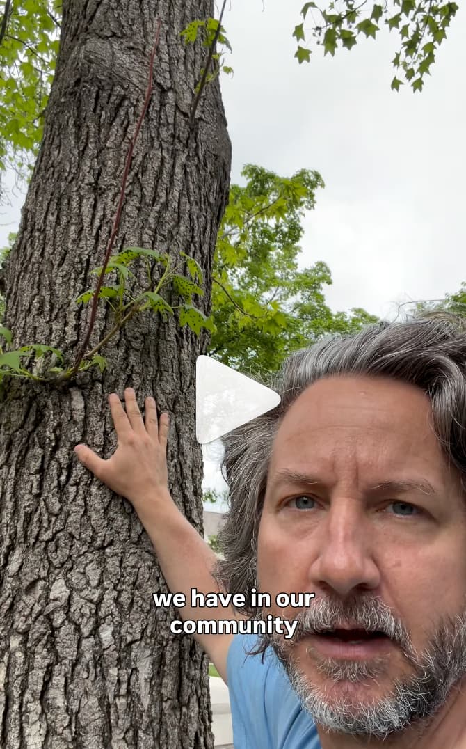 David All on a dog walk in Upper Arlington, pointing out spotted lanternfly nymphs